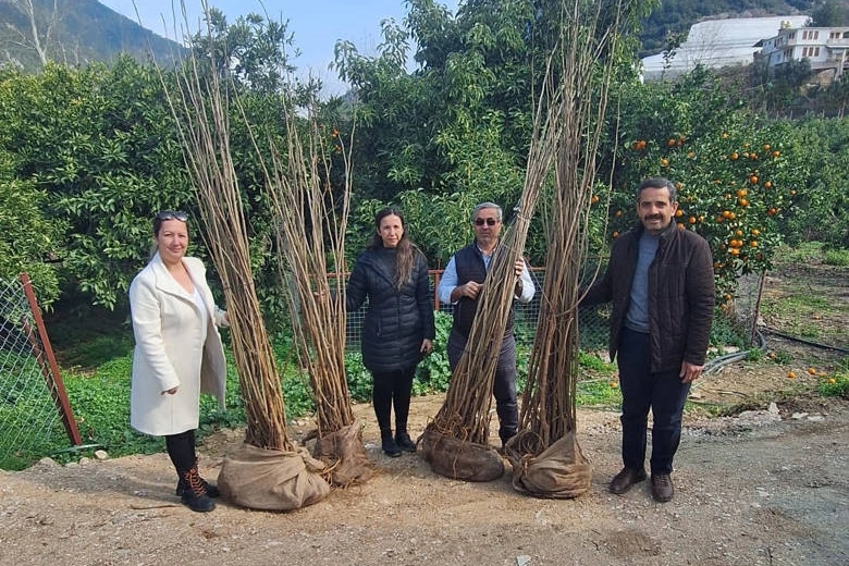 Antalya Büyükşehir’den dut fidanı desteği