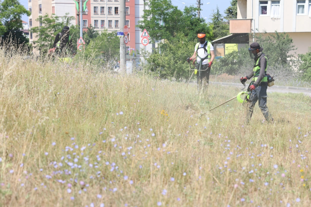 Kocaeli Çayırova'da boş arazilerdeki otlar biçiliyor