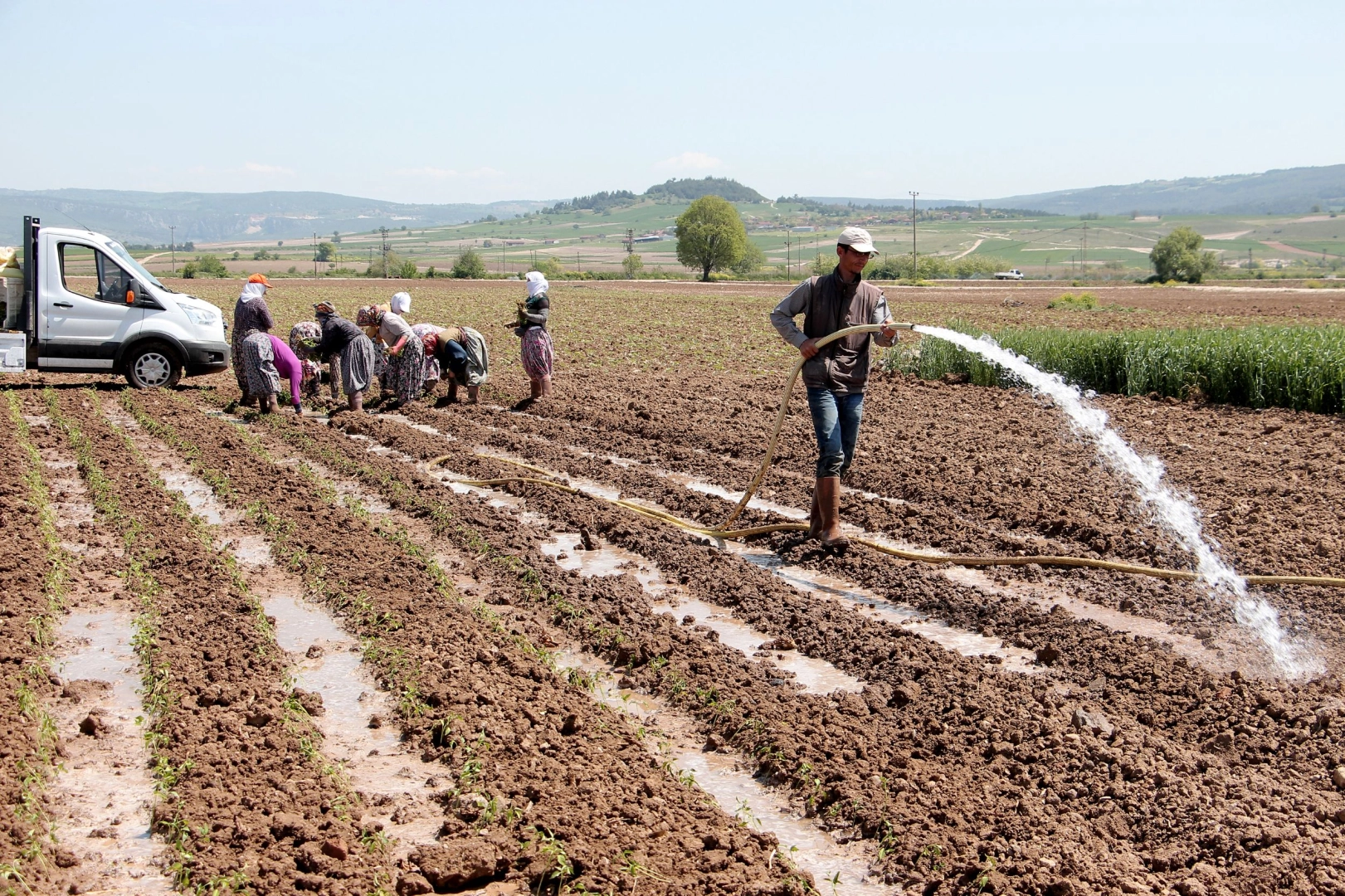 Bursa Yenişehir Ovası'ndan su krizi uyarısı! Yenişehir’de su seviyesi tehlikede!