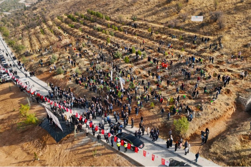 Deprem Şehitleri Hatıra Ormanı yenileniyor